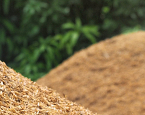 Quais são os principais tipos de biomassa e como otimizar seu uso?