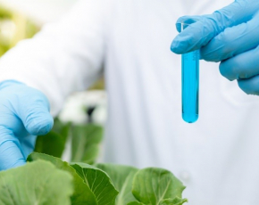 Como os biopesticidas podem substituir os agrotóxicos?