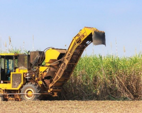 5 Máquinas essenciais para a produção de cana-de-açúcar