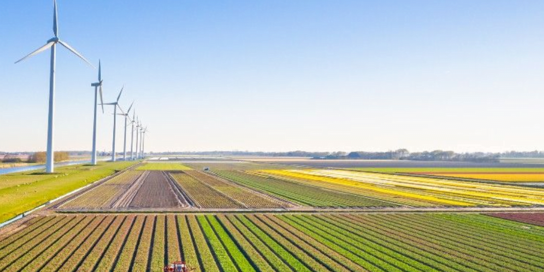 Guia De Agricultura Sustentável: Como Aplicar Na Prática? - Armac