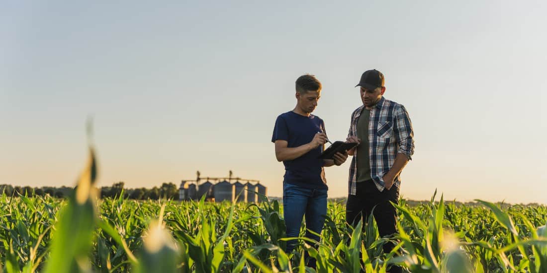 Agricultura Regenerativa Entenda O Que é E Como Funciona Armac