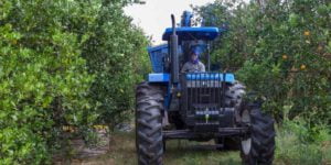 Trator de rodas new holland Armac em propriedade rural de laranja