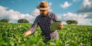 agricultor em meio a plantação com caderneta de monitoramento nas mãos