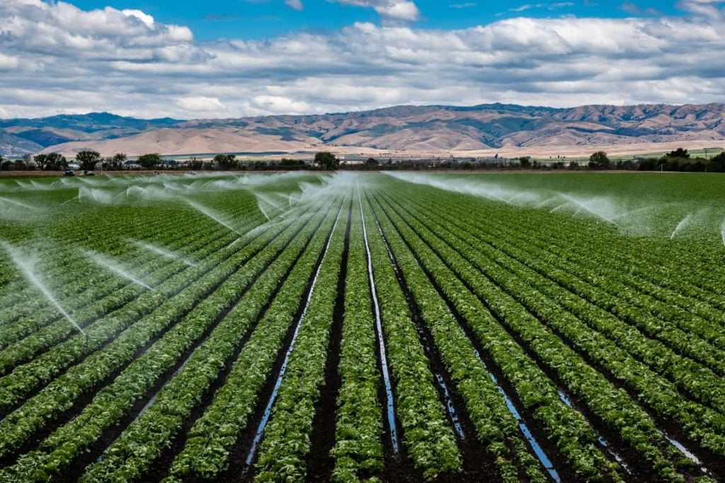 pivô de irrigação em lavoura agrícola